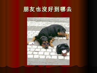 朋友也沒好到哪去   