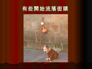 有些開始流落街頭   