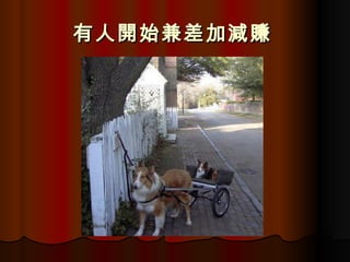 有人開始兼差加減賺   