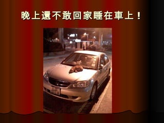 晚上還不敢回家睡在車上 !   