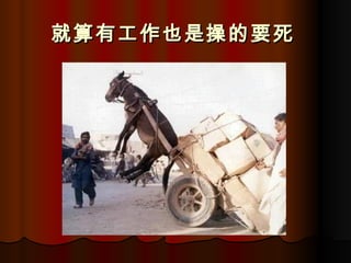 就算有工作也是操的要死   