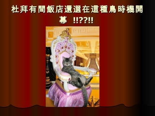 杜拜有間飯店還選在這種鳥時機開幕  !!??!!   