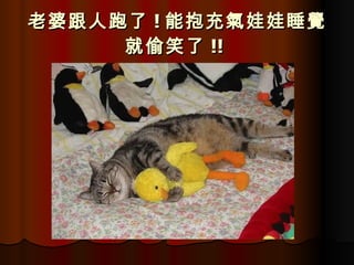 老婆跟人跑了 ! 能抱充氣娃娃睡覺就偷笑了 !!   