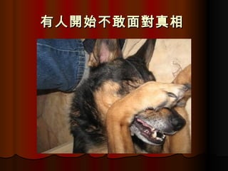 有人開始不敢面對真相   