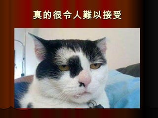 真的很令人難以接受   