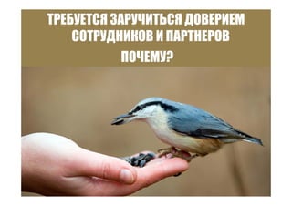 Точки роста - системный подход