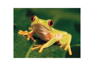 Точки роста - системный подход