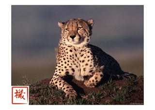 Точки роста - системный подход