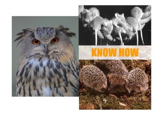 Точки роста - системный подход