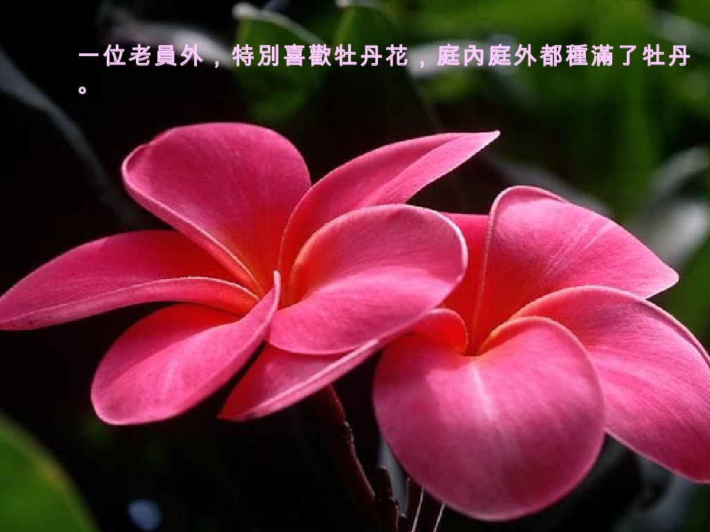 角度 角度