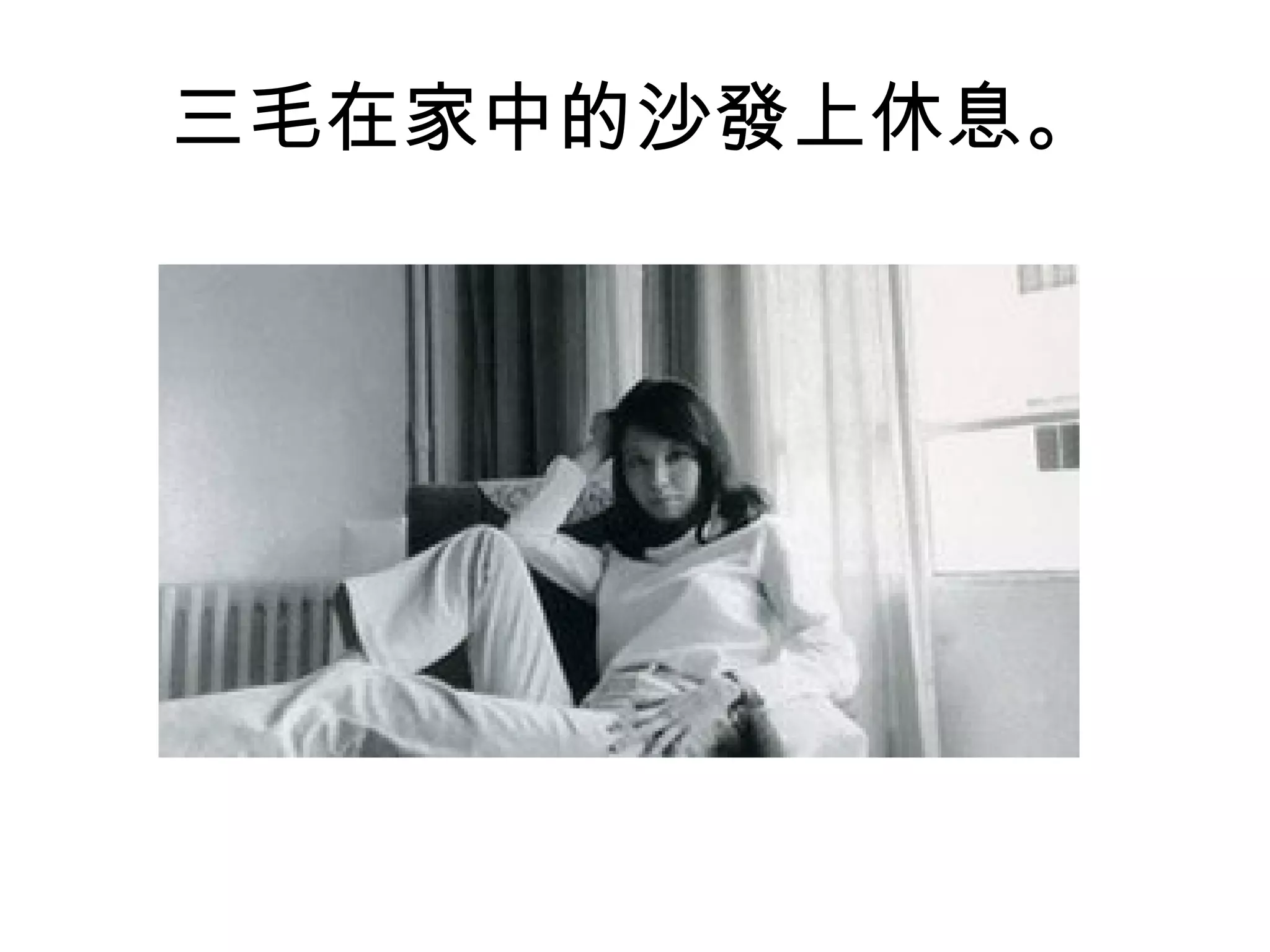 三毛在家中的沙發上休息。 