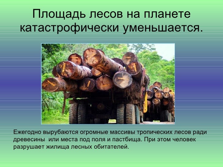Презентация Наша Чистая Планета