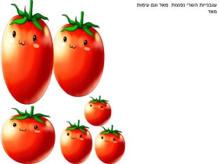 עגבנייות השרי נפוצות  מאד וגם עימות מאד 