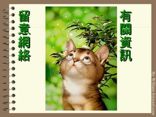 留意網絡 有關資訊 