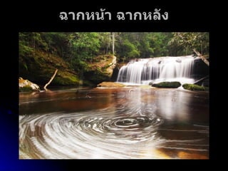 ฉากหน้า ฉากหลัง 