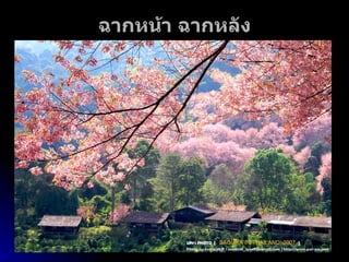 ฉากหน้า ฉากหลัง 