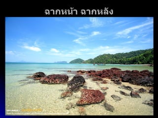 ฉากหน้า ฉากหลัง 