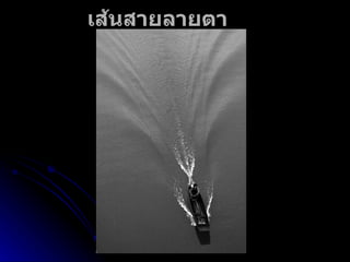 เส้นสายลายตา 