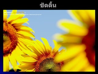 ชัดตื้น  