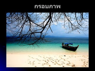 กรอบภาพ 