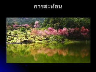 การสะท้อน 