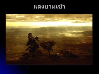 แสงยามเช้า 