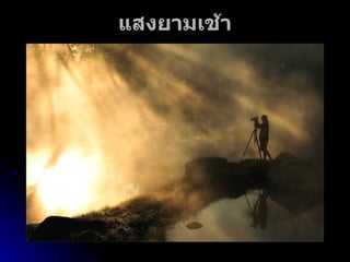 แสงยามเช้า 