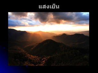 แสงเย็น 