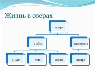 Жизнь в озерах 