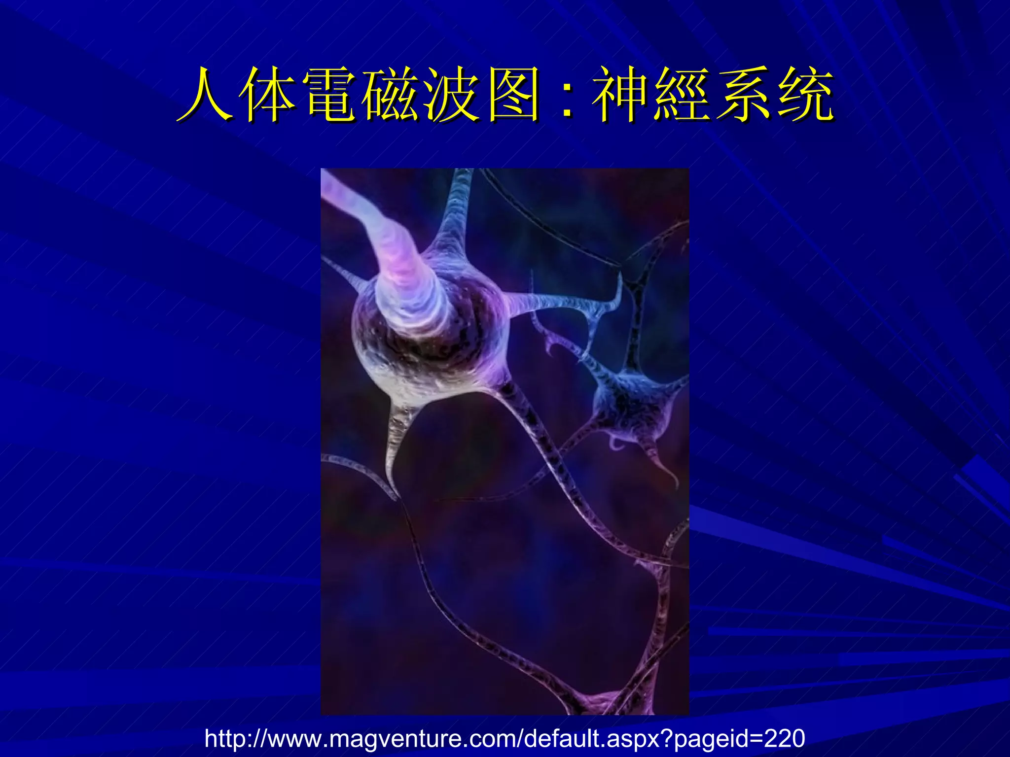 人体 電磁波 图 : 神經系统 http://www.magventure.com/default.aspx?pageid=220 