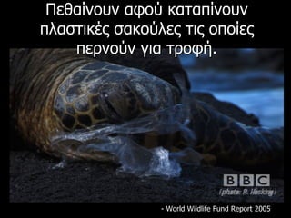 Πεθαίνουν αφού καταπίνουν πλαστικές σακούλες τις οποίες περνούν για τροφή. - World Wildlife Fund Report 2005 