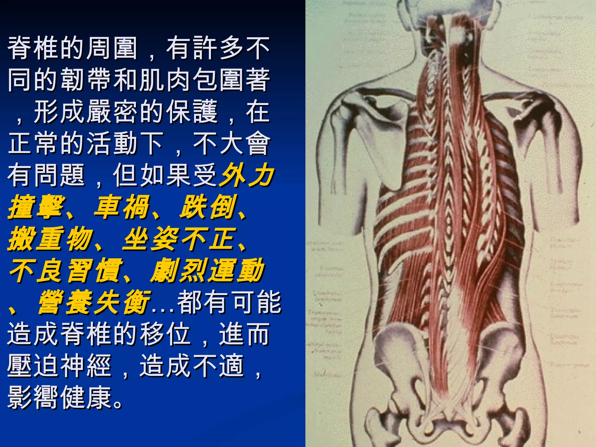 脊椎的周圍，有許多不同的韌帶和肌肉包圍著，形成嚴密的保護，在正常的活動下，不大會有問題，但如果受 外力撞擊、車禍、跌倒、搬重物、坐姿不正、不良習慣、劇烈運動、營養失衡 …都有可能造成脊椎的移位，進而壓迫神經，造成不適，影嚮健康 。 