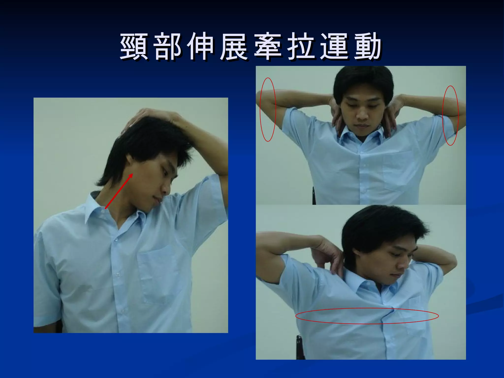 頸部 伸展牽拉運動 2  滾肩 