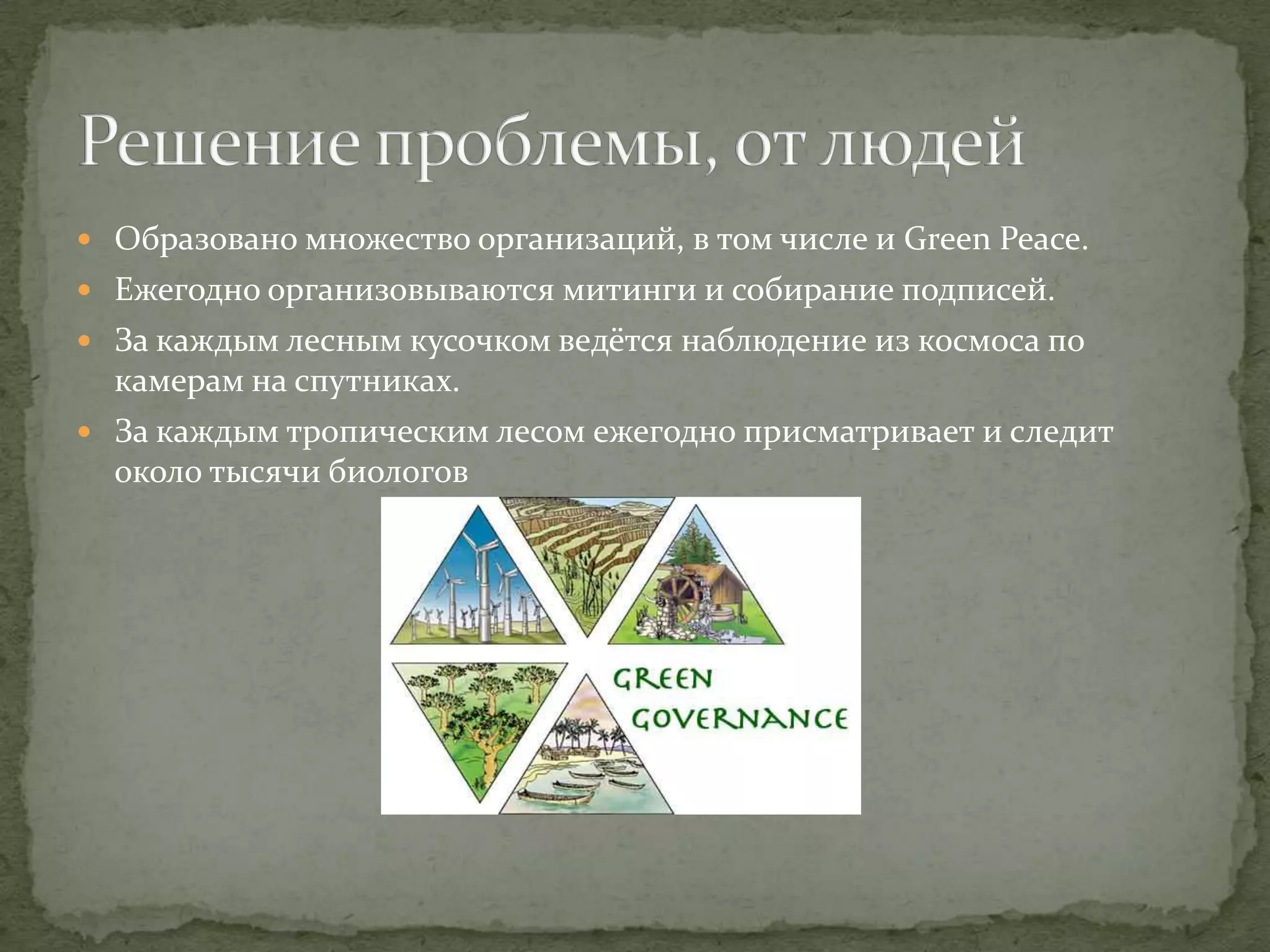 Уничтожение лесов