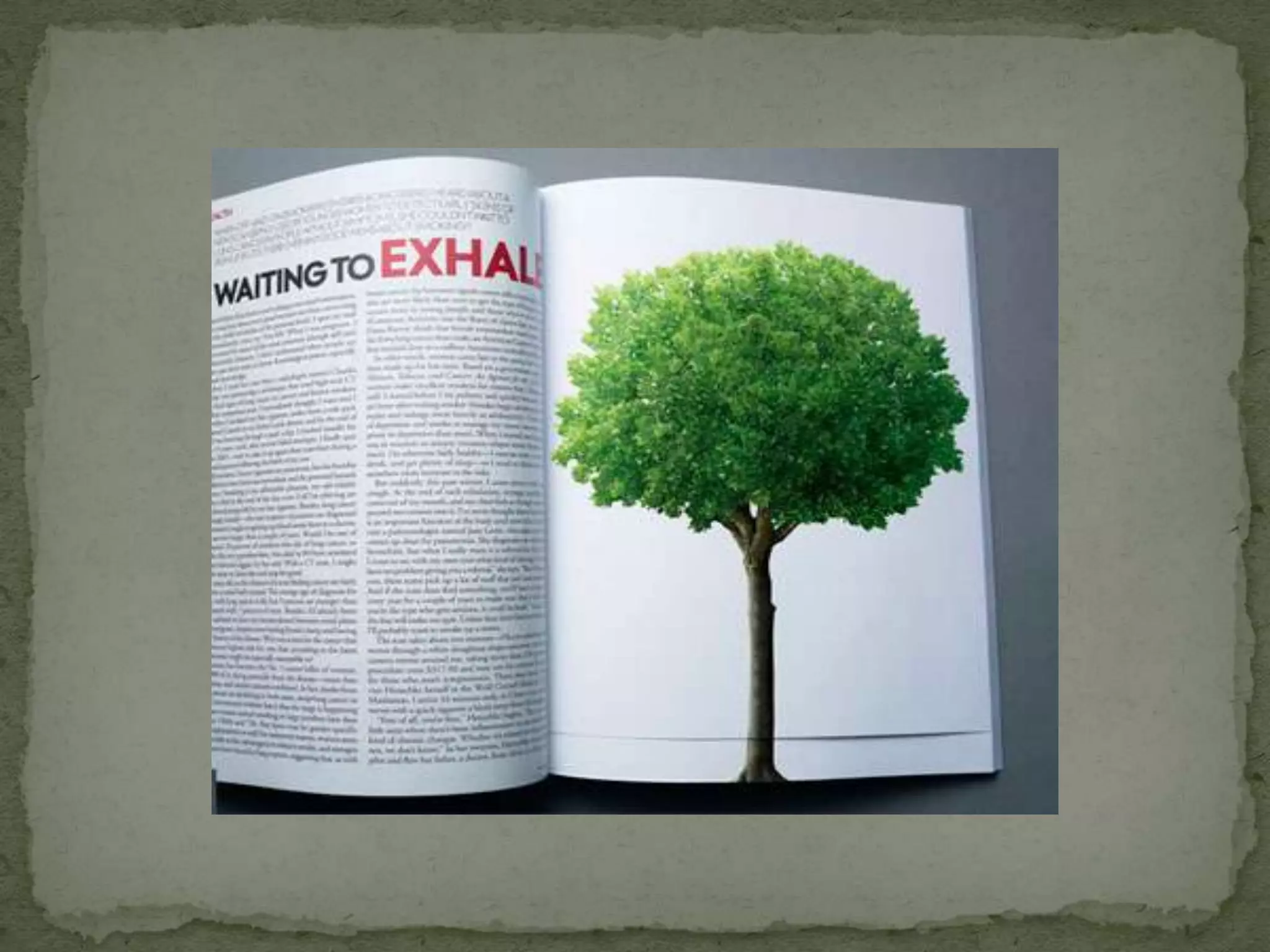 Уничтожение лесов