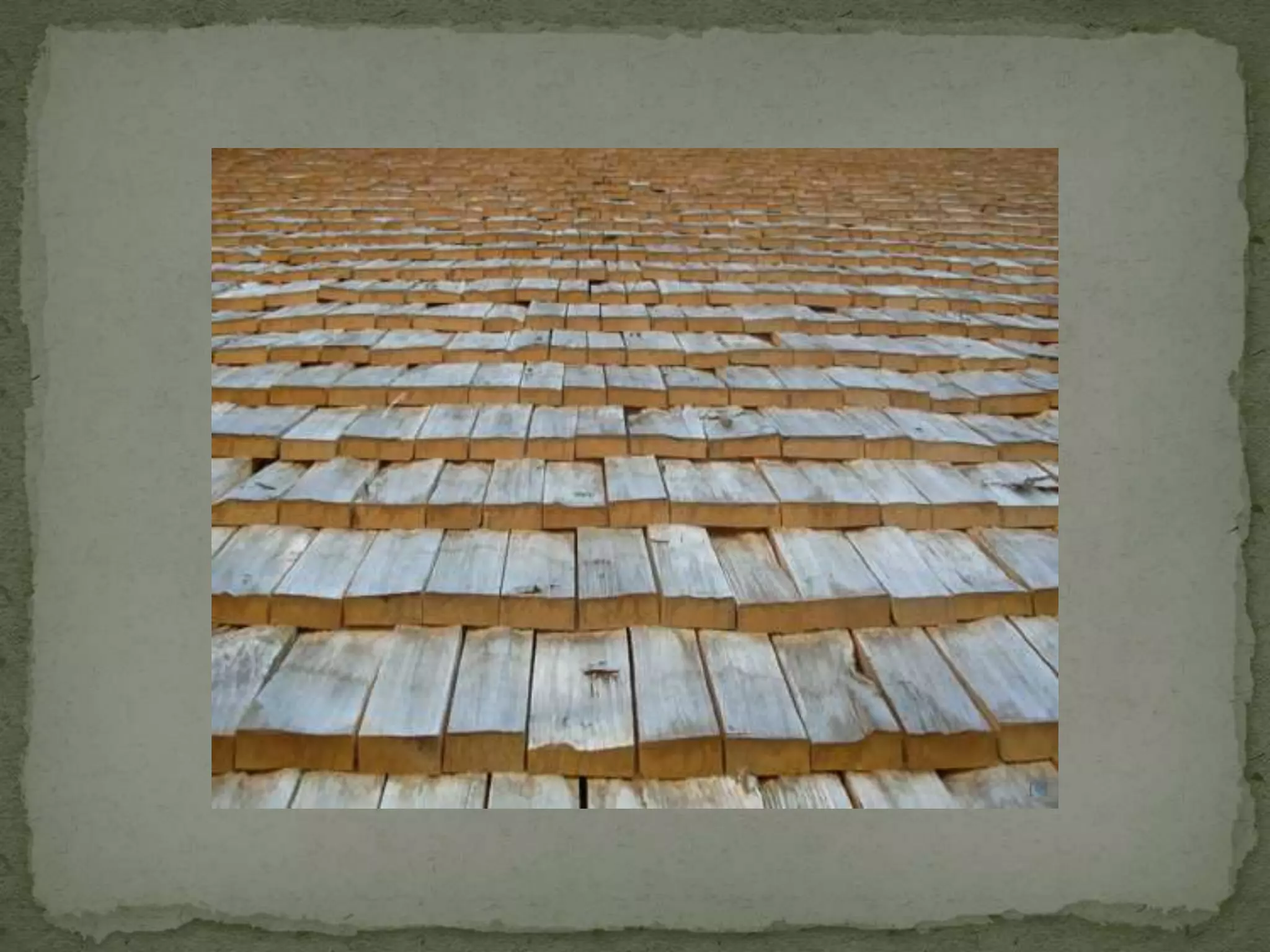 Уничтожение лесов