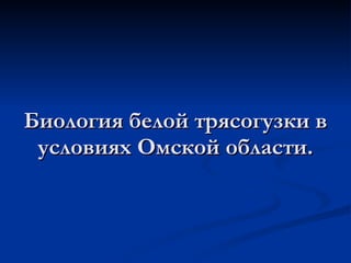 Биология белой трясогузки в условиях Омской области. 