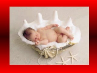 אופק  היובל  אילת  מצגת.