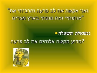 אופק  היובל  אילת  מצגת.