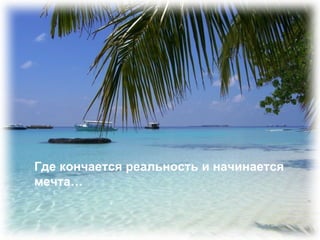 Где кончается реальность и начинается  мечта… 