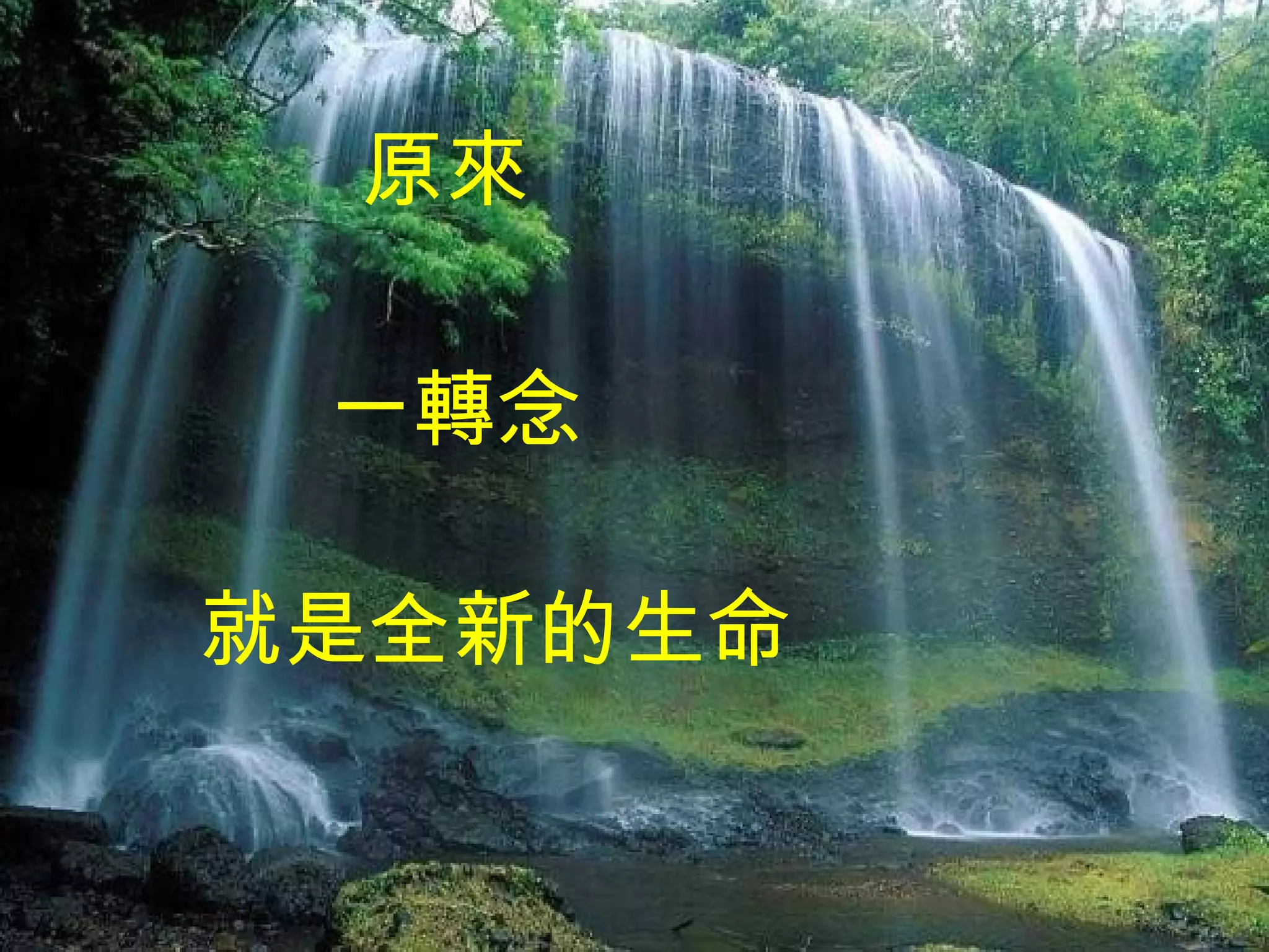 原來 一轉念 就是全新的生命 