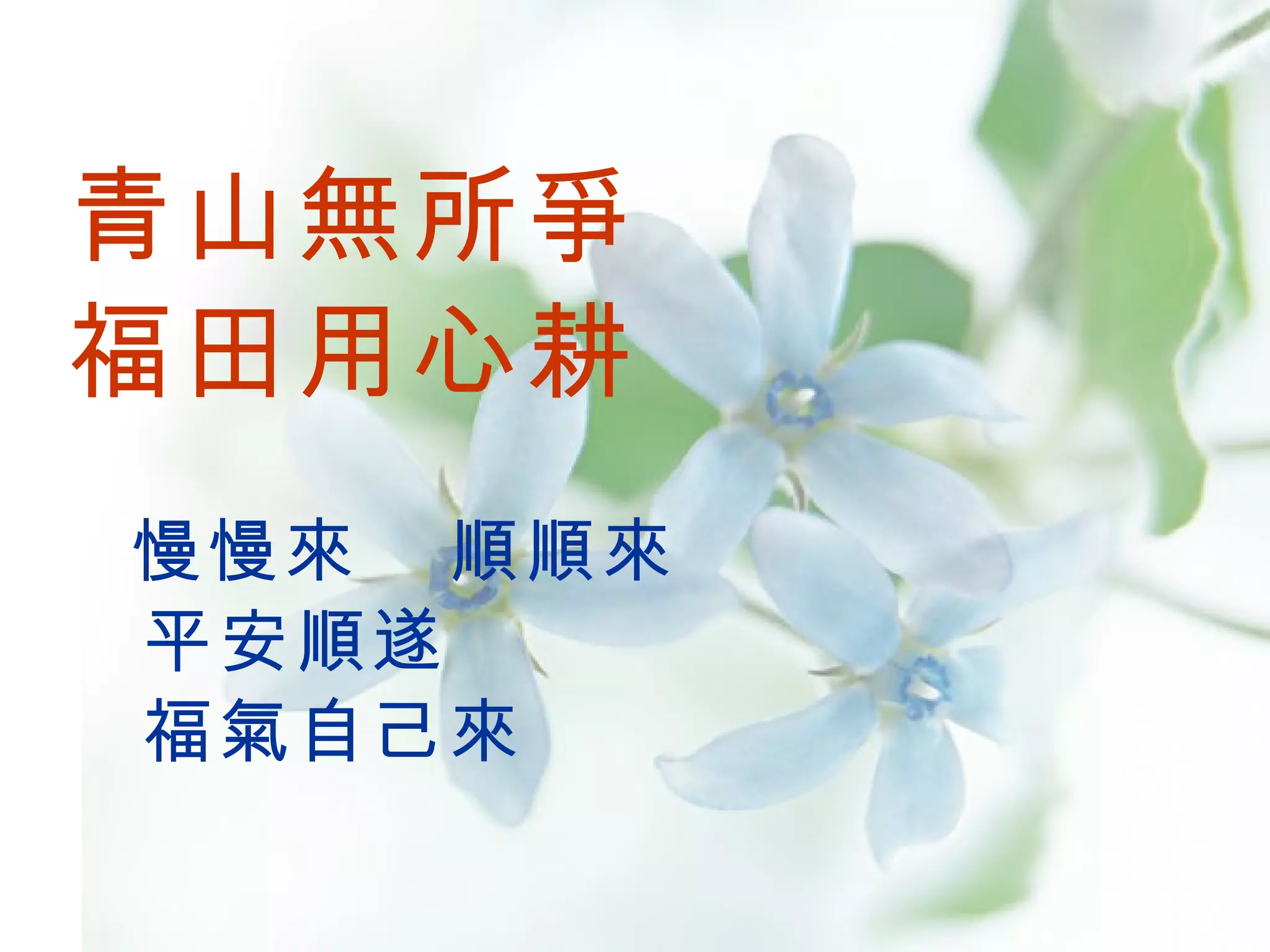 青山無所爭 福田用心耕   慢慢來  順順來 平安順遂 福氣自己來   