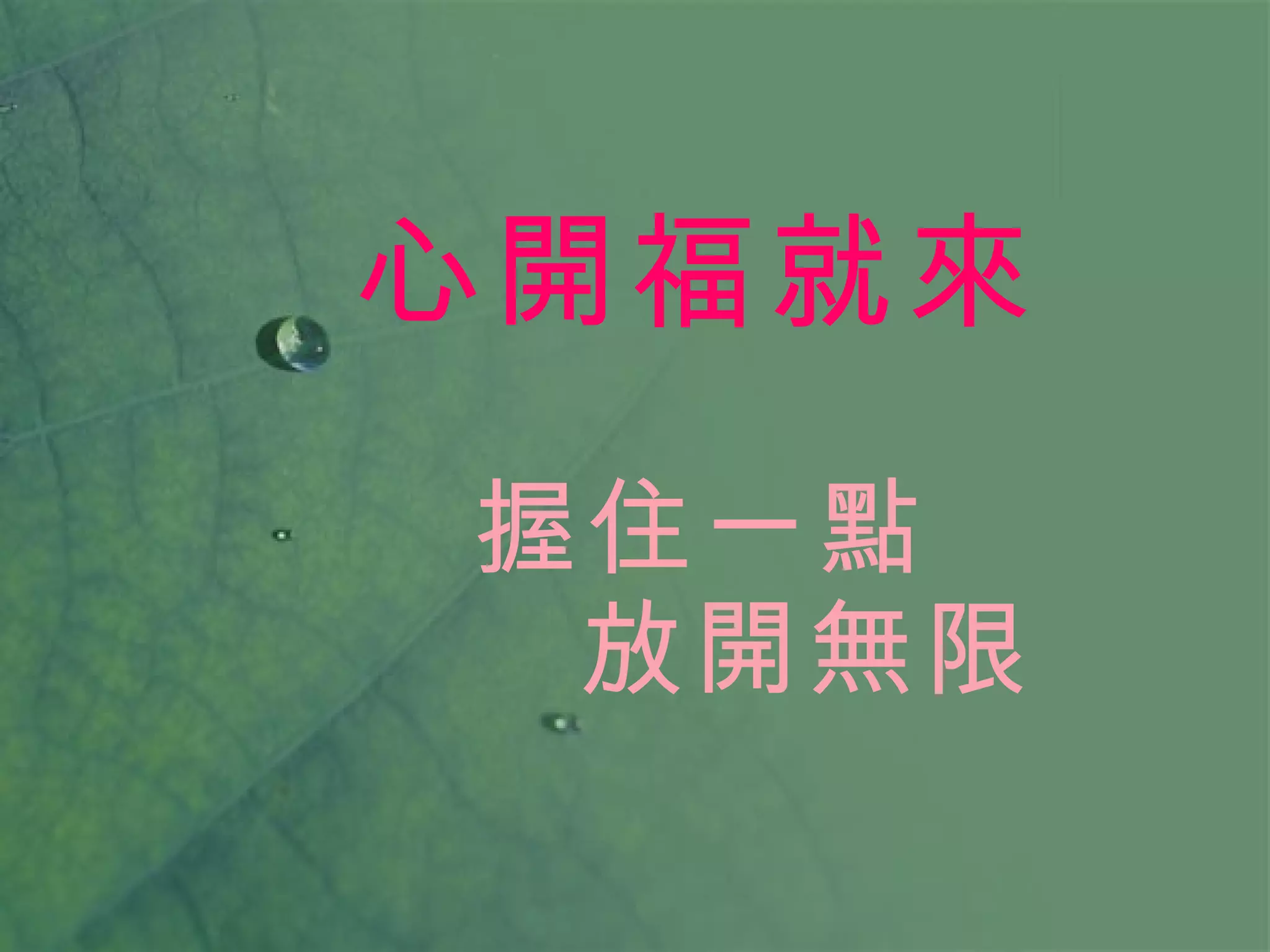 心開福就來   握住一點   放開無限 