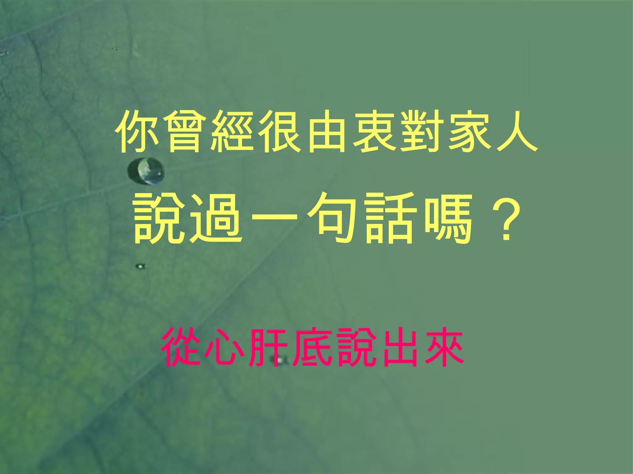 你曾經很由衷對家人 說過一句話嗎？ 從心肝底說出來 