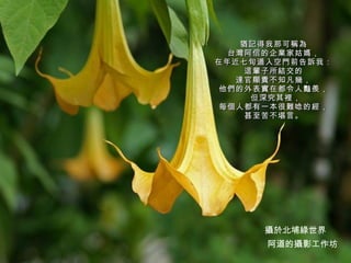 猶記得我那可稱為 台灣阿信的企業家姑媽， 在年近七旬遁入空門前告訴我： 這輩子所結交的 達官顯貴不知凡幾， 他們的外表實在都令人豔羨，  但深究其裡， 每個人都有一本很難唸的經， 甚至苦不堪言。 阿道的攝影工作坊 攝於北埔綠世界 