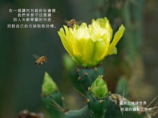 在一個講究包裝的社會裡， 我們常禁不住羨慕 別人光鮮華麗的外表， 而對自己的欠缺耿耿於懷。     阿道的攝影工作坊 攝於北埔綠世界 