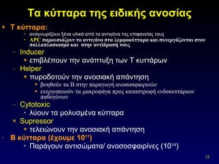 Τα κύτταρα της ειδικής ανοσίας T  κύτταρα:  αναγνωρίζουν ξένα υλικά από τα αντιγόνα της επιφανείας τους APC  παρουσιάζουν το αντιγόνο στα λεμφοκύτταρα και συνεργάζονται στον πολλαπλασιασμό και  στην αντίδρασή τους   Inducer επιβλέπουν την ανάπτυξη των  T  κυττάρων  Helper πυροδοτούν την ανοσιακή απάντηση βοηθούν τα Β στην παραγωγή ανοσοσφαιρινών ενεργοποιούν τα μακροφάγα προς καταστροφή ενδοκυττάριων παθογόνων Cytotoxic   λύουν τα μολυσμένα κύτταρα  Supressor τελειώνουν την ανοσιακή απάντηση B  κύτταρα (έχουμε 10 11 ) Παράγουν αντισώματα/ ανοσοσφαιρίνες (10 14 ) 