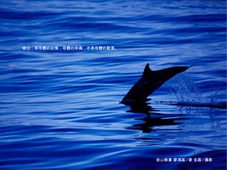 破出，是母體的記憶，母體的疼痛，亦是母體的歡喜。




海洋‧鯨豚最美的書寫攝影      後山鯨書‧廖鴻基/著‧金磊/攝影                          3
                                     後山鯨書 廖鴻基 / 著 金磊 / 攝影
 