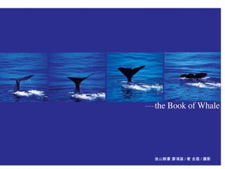 海洋‧鯨豚最美的書寫攝影   後山鯨書‧廖鴻基/著‧金磊/攝影                          8
                                  後山鯨書 廖鴻基 / 著 金磊 / 攝影
 