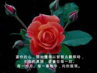當你的心，開始懂得以智慧去觀察時，
  生命的真諦，便會在每一刻、
每一地方、每一事物中，向你展現。
 